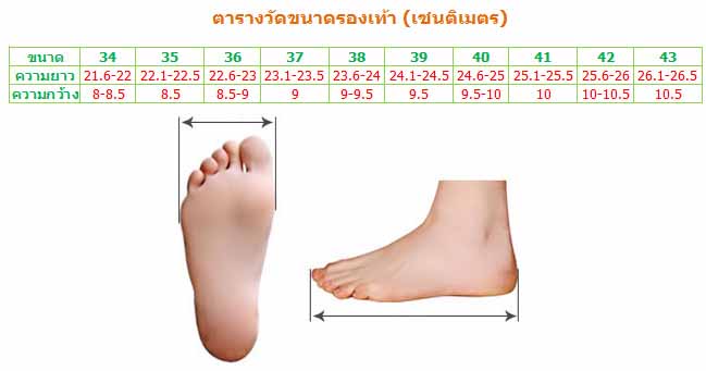 ตารางวัดขนาดรองเท้าแฟชั่นเกาหลี ร้านLOTUSNOSS โลตัสโนสส